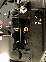 12p.jpg (55899 bytes)