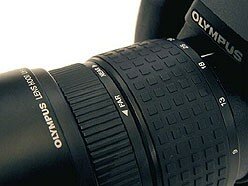 13p.jpg (49402 bytes)